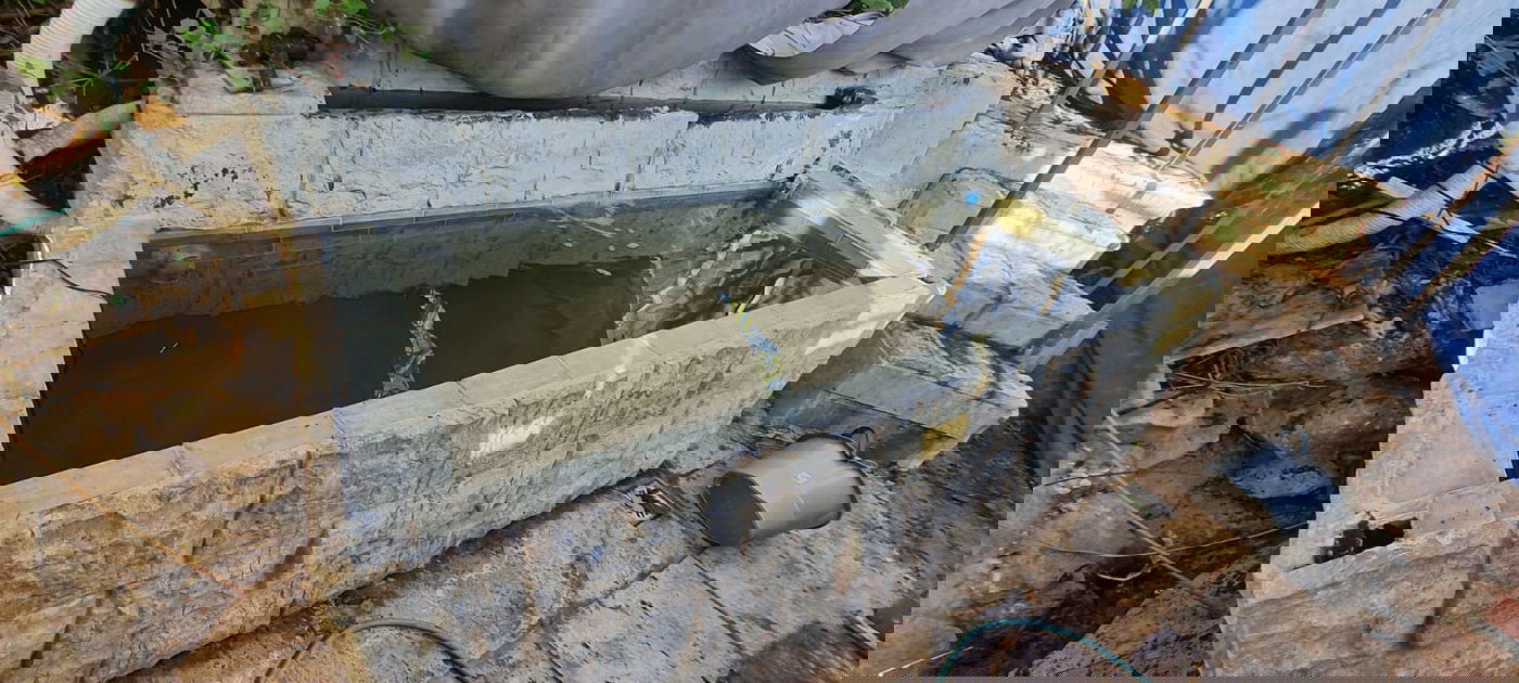 המקווה הקדוש