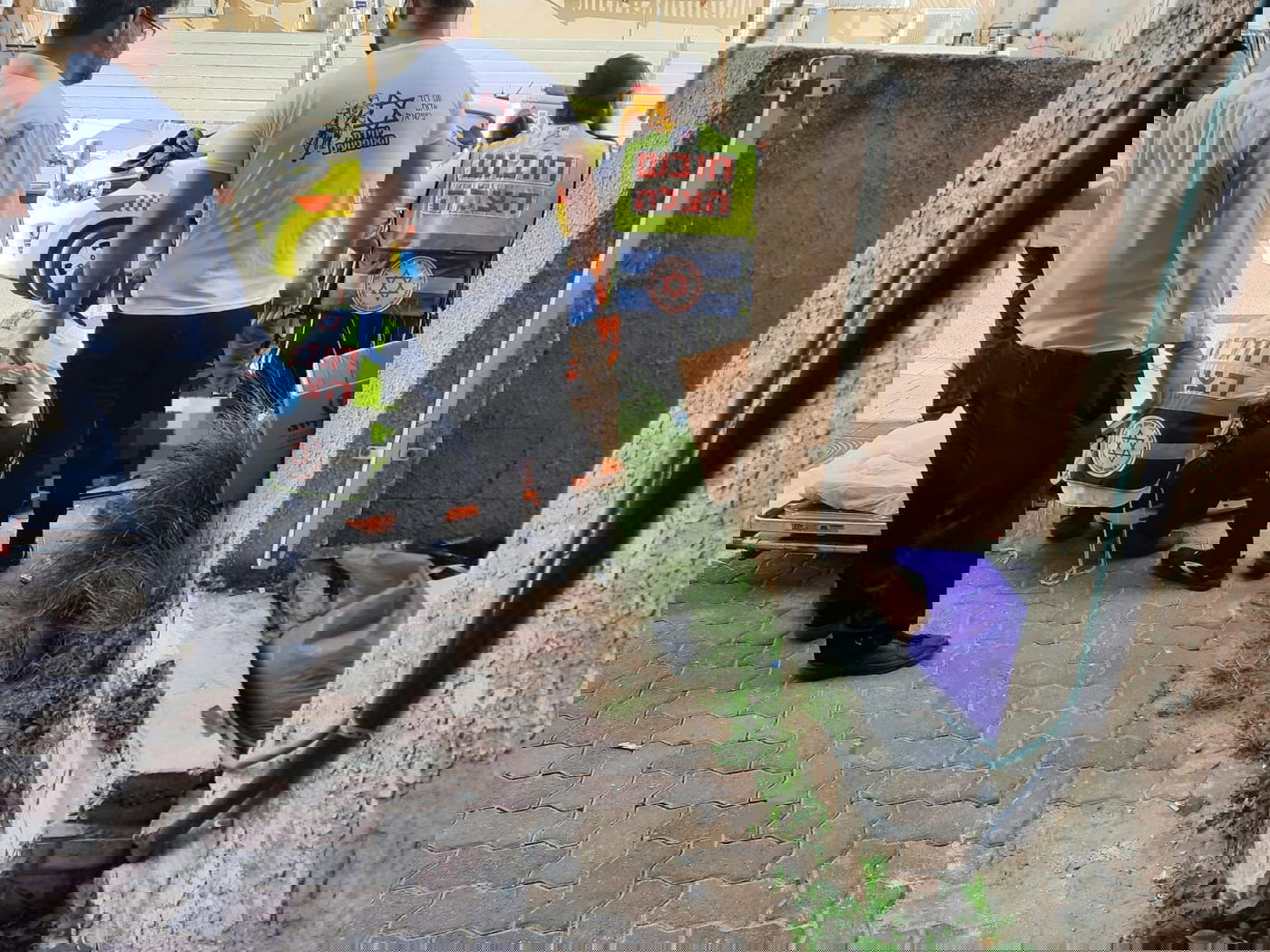 זירת נפילה | ארכיון