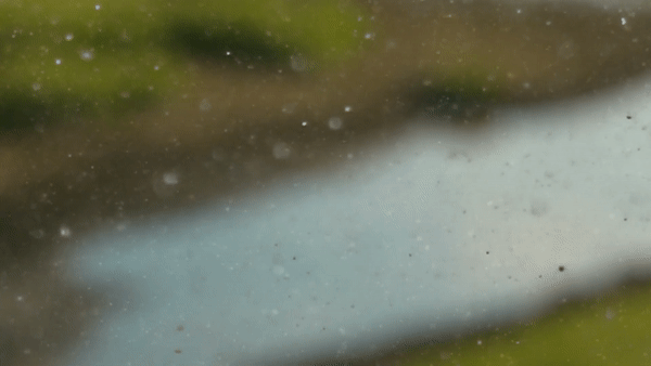 אילוסטרציה