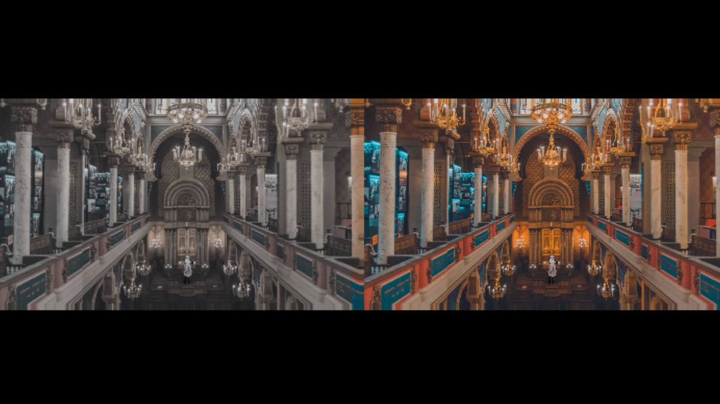 "מתחת לפנס": לייזר ברוק מבצע את "ממקומו הוא יפן"