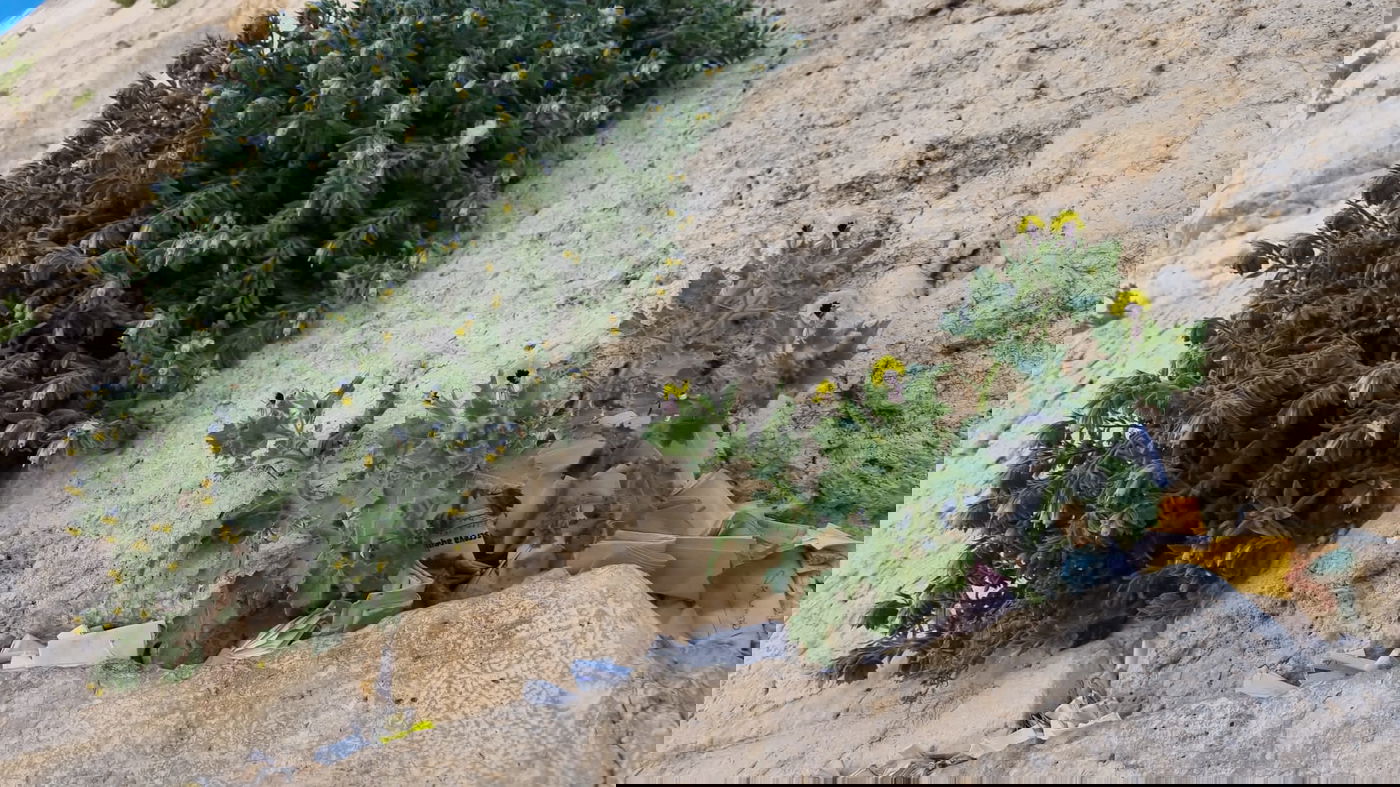 נחשף: זו המדינה ששלחה הכי הרבה פתקים להניח בכותל