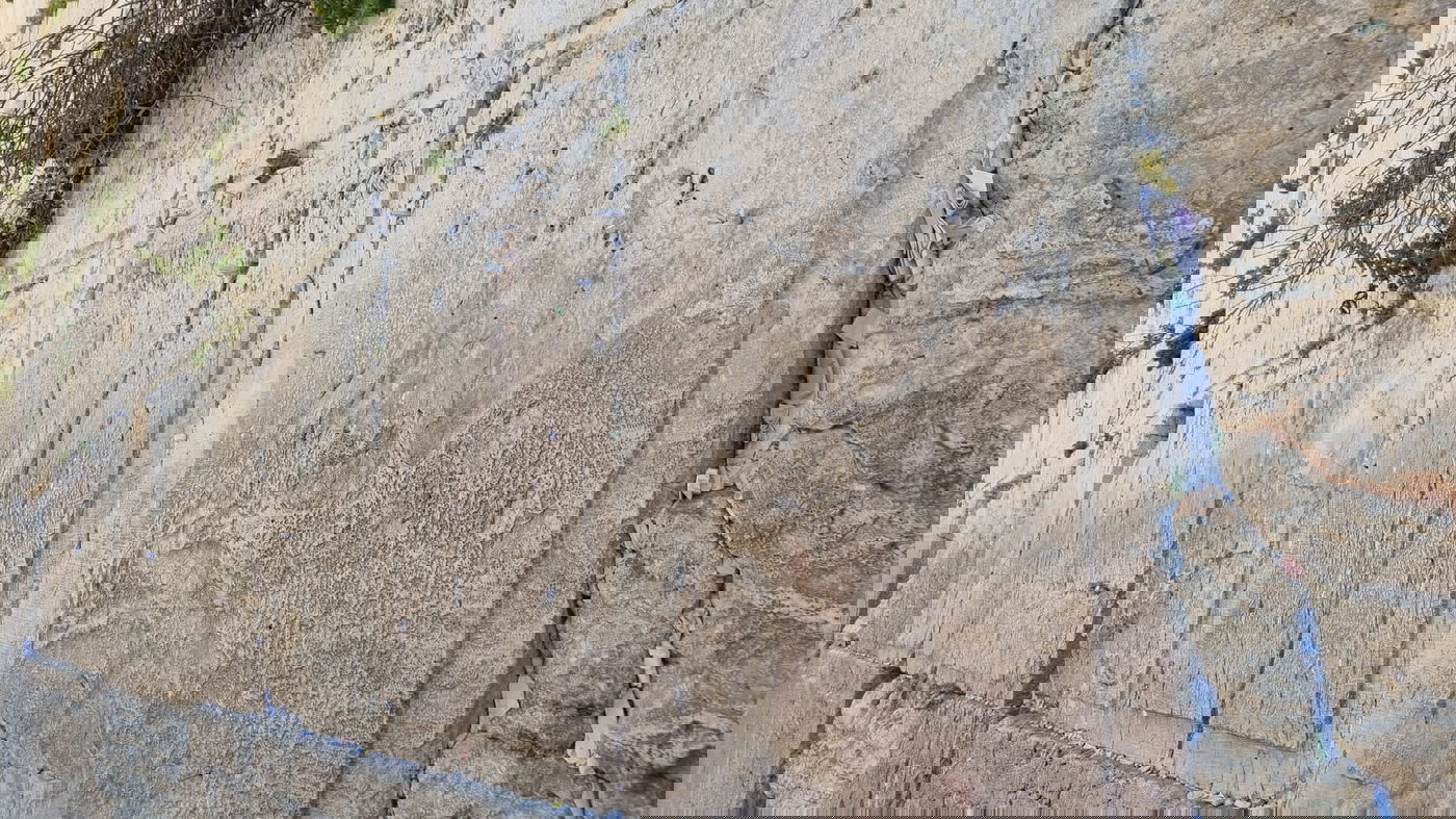 נחשף: זו המדינה ששלחה הכי הרבה פתקים להניח בכותל