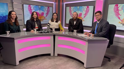 פאנל מטפלי הנפש