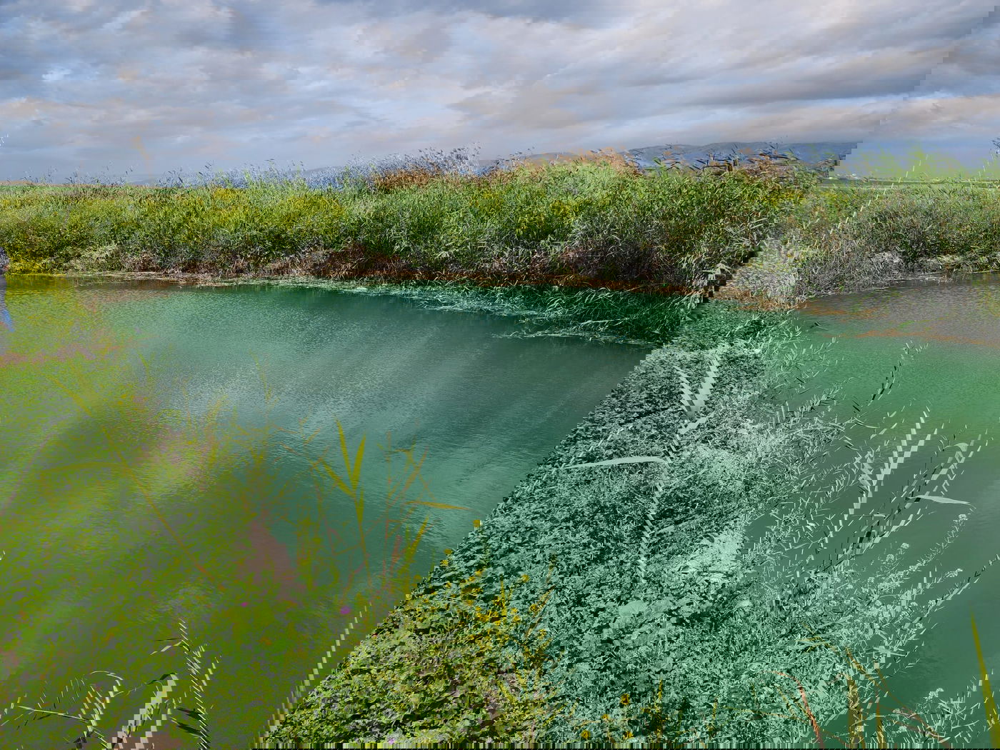 "קדושה גדולה מאד" - אגמון ב"ארץ המעיינות בקעת הירדן"