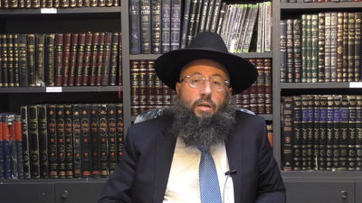 מיוחד לחג הפסח: כל הסגולות הבדוקות לליל הסדר • צפו