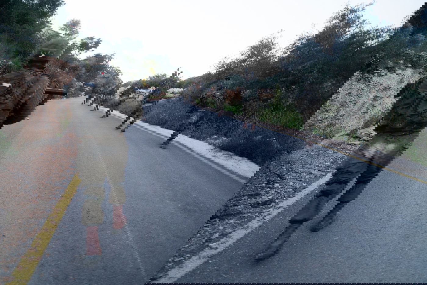 13 מבוקשים נעצרו במהלך הלילה בפעילות כוחות הביטחון