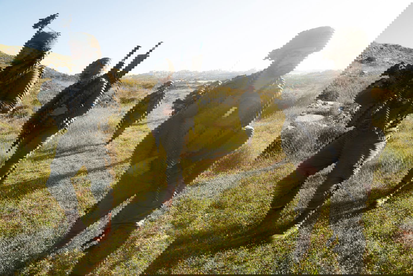 13 מבוקשים נעצרו במהלך הלילה בפעילות כוחות הביטחון