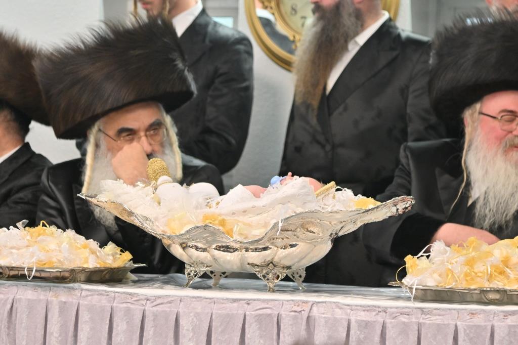 שמחת פדיון הבן לנכד האדמו"ר מביאלא | צפו