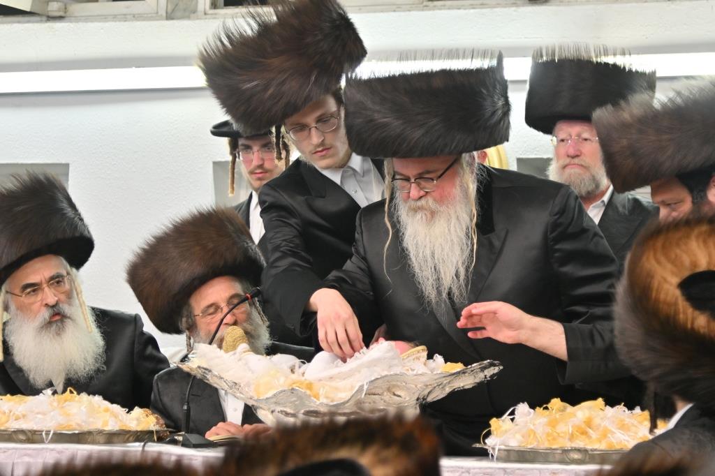 שמחת פדיון הבן לנכד האדמו"ר מביאלא | צפו