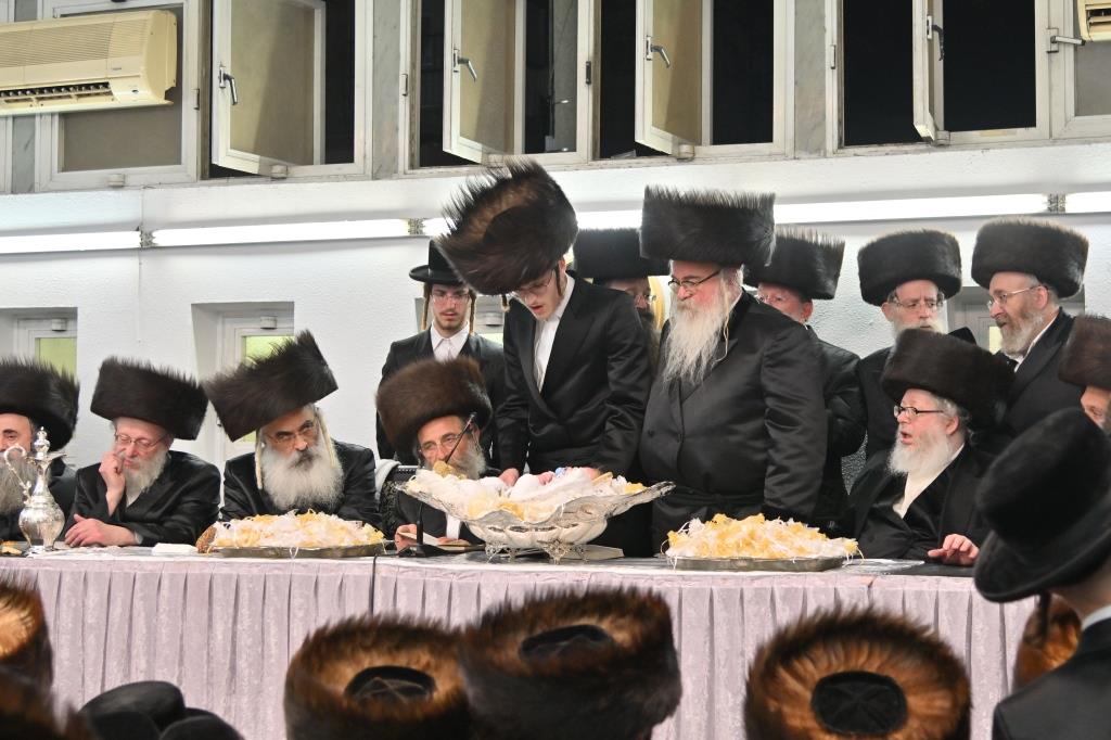 שמחת פדיון הבן לנכד האדמו"ר מביאלא | צפו