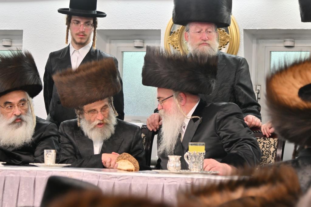 שמחת פדיון הבן לנכד האדמו"ר מביאלא | צפו