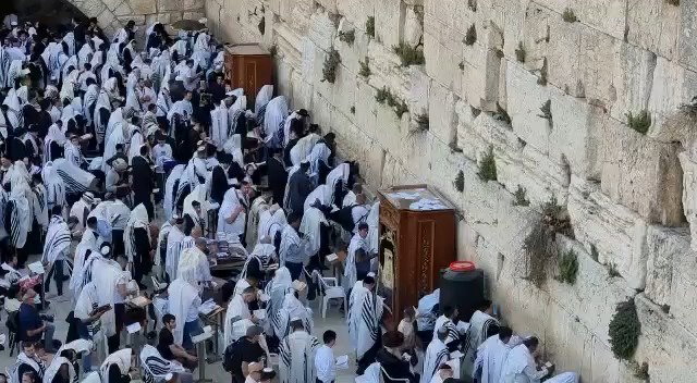 התפילות הבוקר בכותל המערבי 