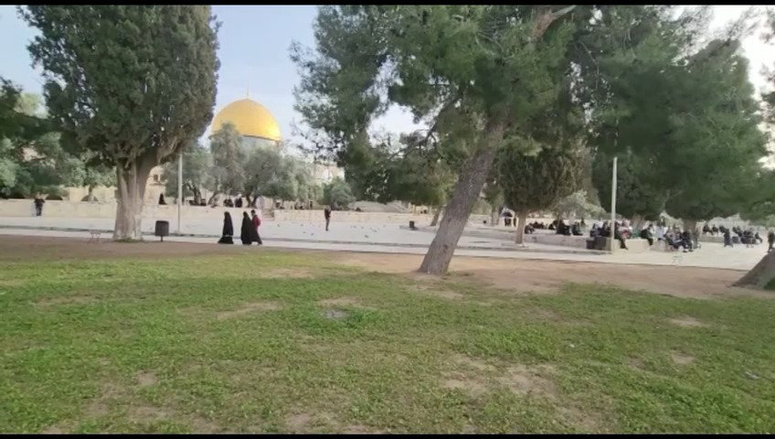 תיעוד מהר הבית: תפילות מוסלמים וביקורי היהודים העולים להר