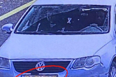 התיעוד שהופץ