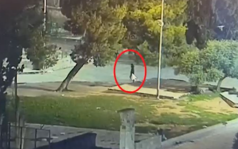 המחבל מגיע לשער השלשלת