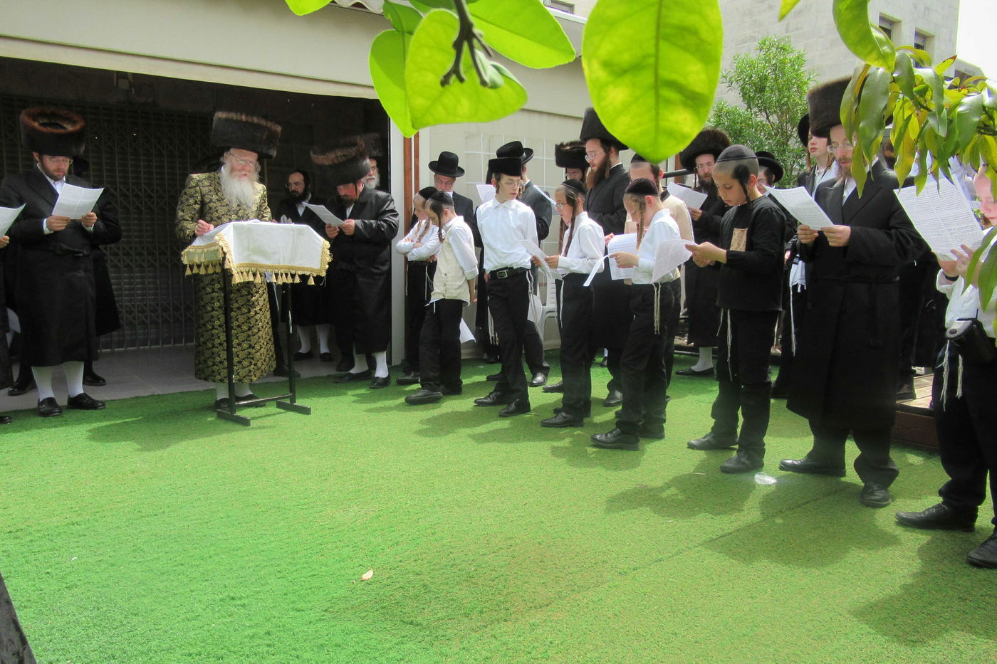 ברכת האילנות בחצר קרעטשניף - קרית גת | תיעוד