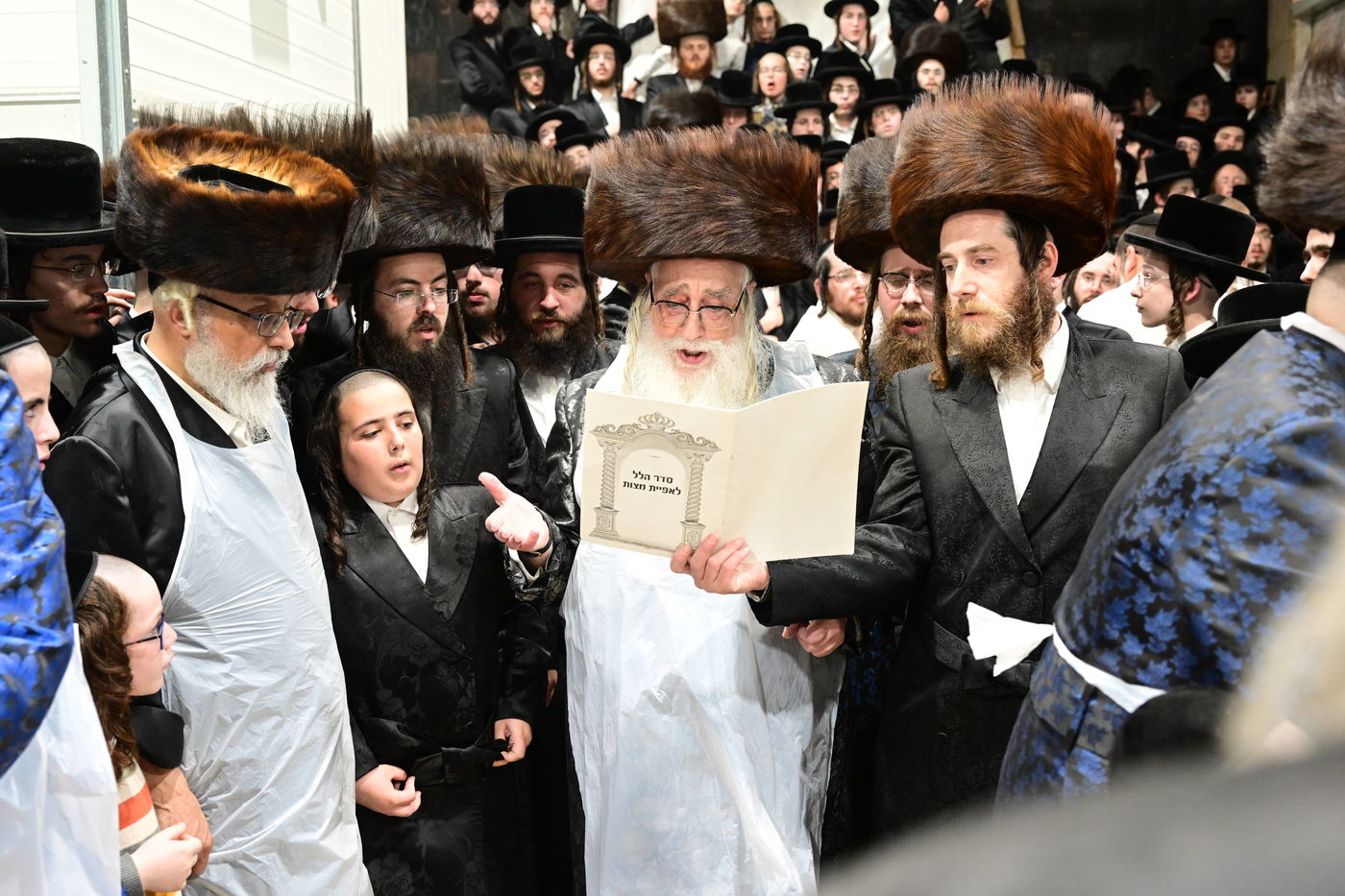 מראות חג הפסח בחצר הקודש צאנז | תיעוד מסכם