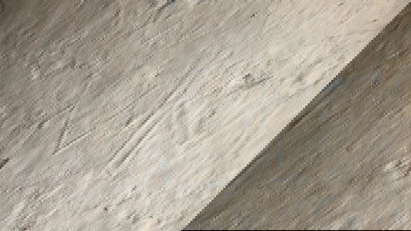 מגן דוד חרוט על הקיר