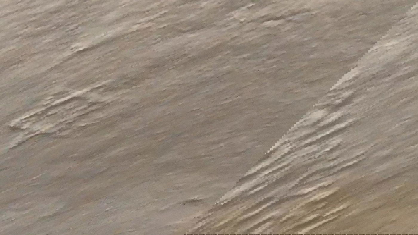 מגן דוד על הקיר