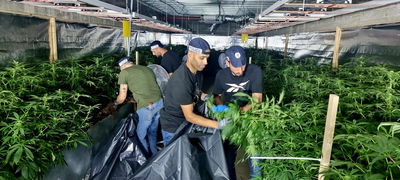 התפיסה בכפר עוג'ה שבבקעת הירדן