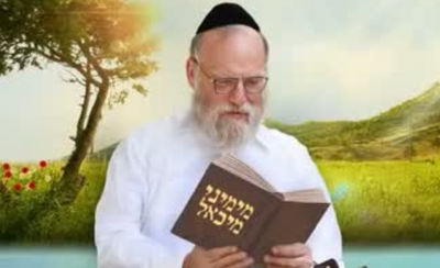 מיכאל שניצלער כפי שצולם על עטיפת אלבומו "מימיני מיכאל"