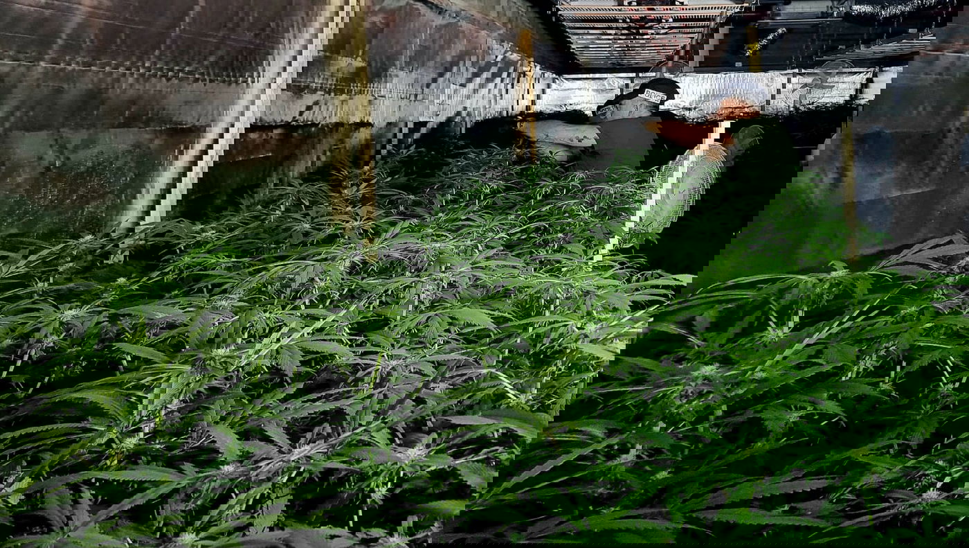 התפיסה בכפר עוג'ה שבבקעת הירדן