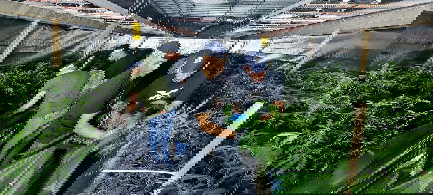 התפיסה בכפר עוג'ה שבבקעת הירדן