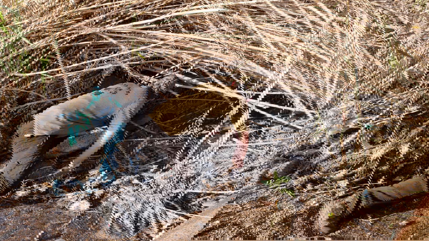 יותר מיממה חלפה: כך חיפשו היום שעות אחר האברך שנעדר בכנרת