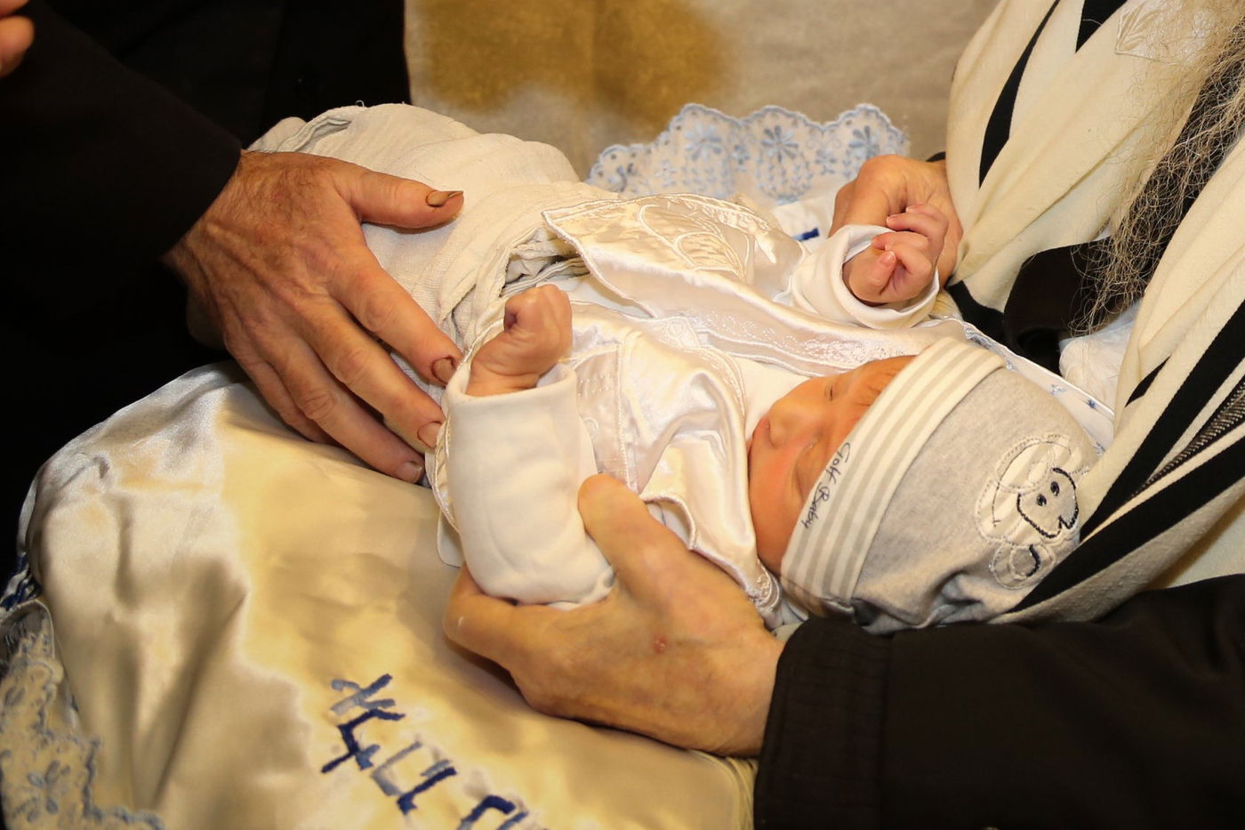 פרשות תזריע - מצורע: דיני ברית מילה בשבת קודש