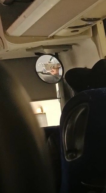 הנהג קורא עיתון במהלך הנסיעה