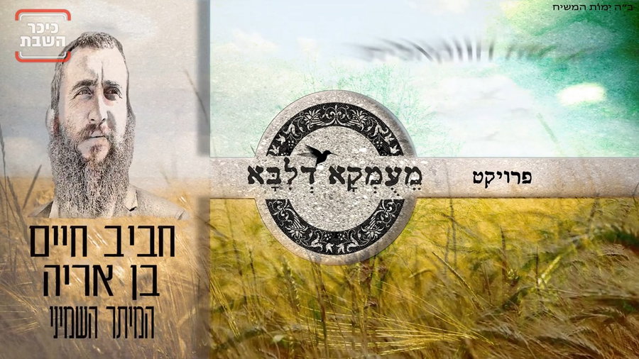 חביב חיים בן אריה - "המיתר השמיני"