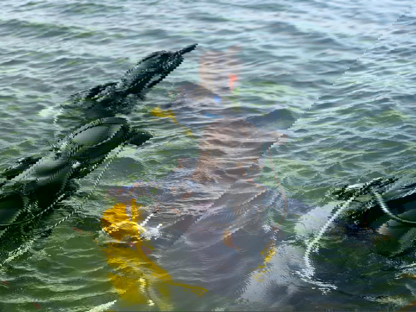 "יש מתח באוויר" | הדייג הוותיק שמצא את האברך שטבע בכנרת משחזר 