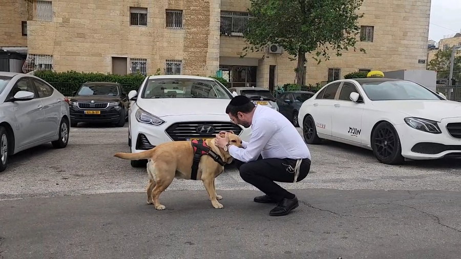 החזרת הכלבה לבעלים החרדי