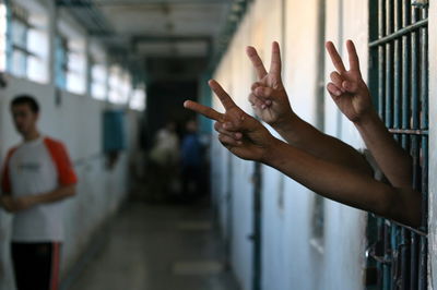 אילוסטרציה