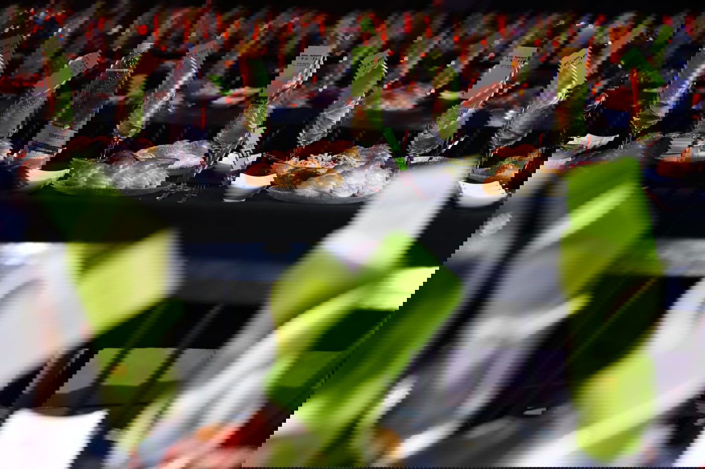 מה חיפשו 12,000 חסידים יום אחרי יום באולמי אווניו?