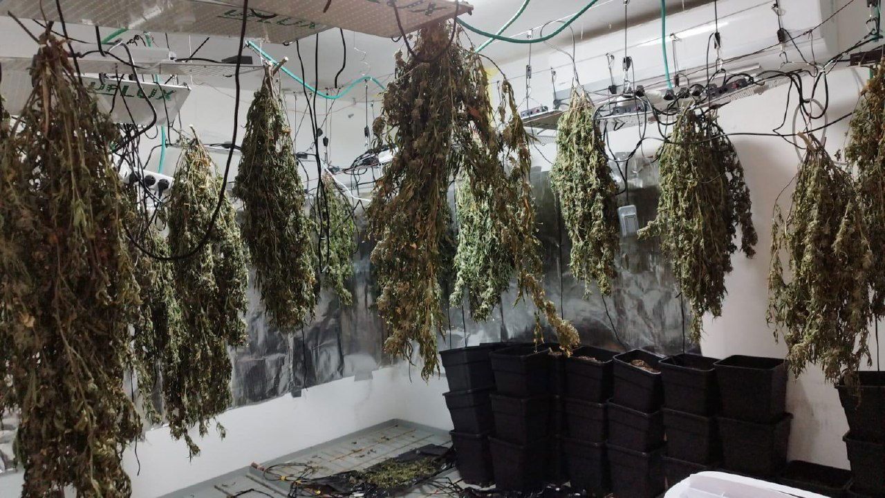 שכרו דירה בבית שמש - והפכו את חדרי השינה למעבדת סמים