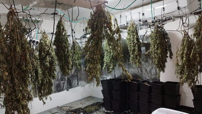 שכרו דירה בבית שמש - והפכו את חדרי השינה למעבדת סמים