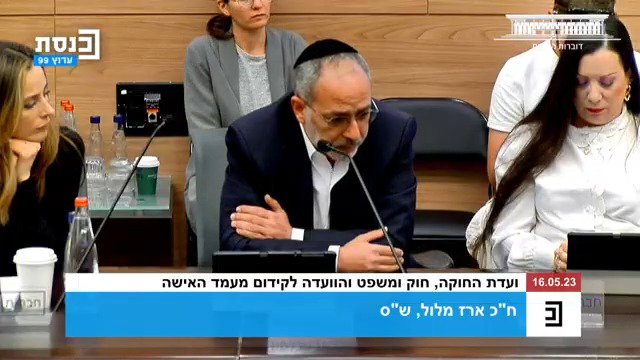 ח"כ ארז מלול בדבריו בוועדה