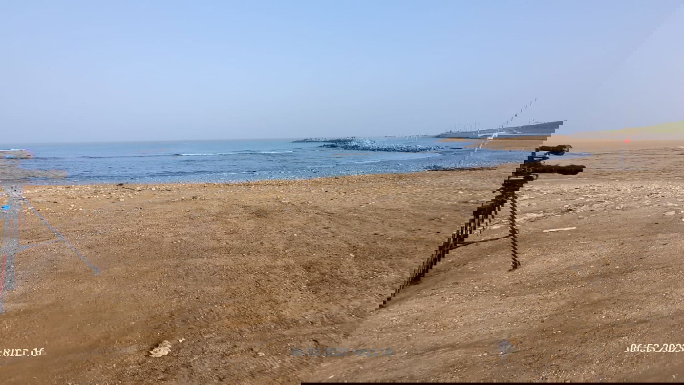 כלבת הים שבה לחופי ישראל; "אל תתקרבו אליה" | תיעוד