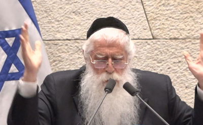 מאיר פרוש, היום