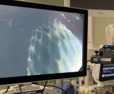 הבדיקה בבית החולים