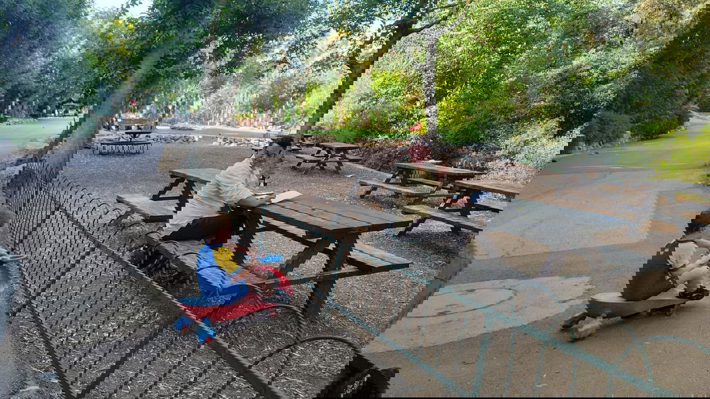 זופניק בכיכר • כל התמונות, הנייעס והחשיפות של השבוע