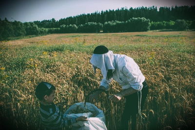 תמונת השבוע: קציר חיטים משפחתי