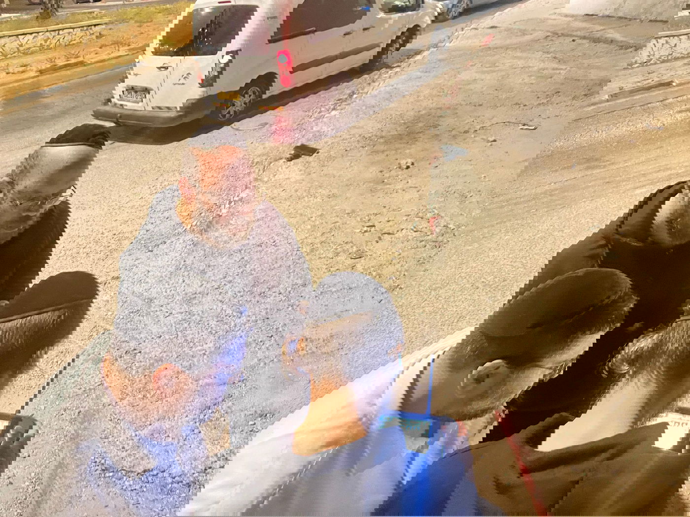 שישה מסתננים נתפסו בלב העיר מודיעין עילית | תיעוד