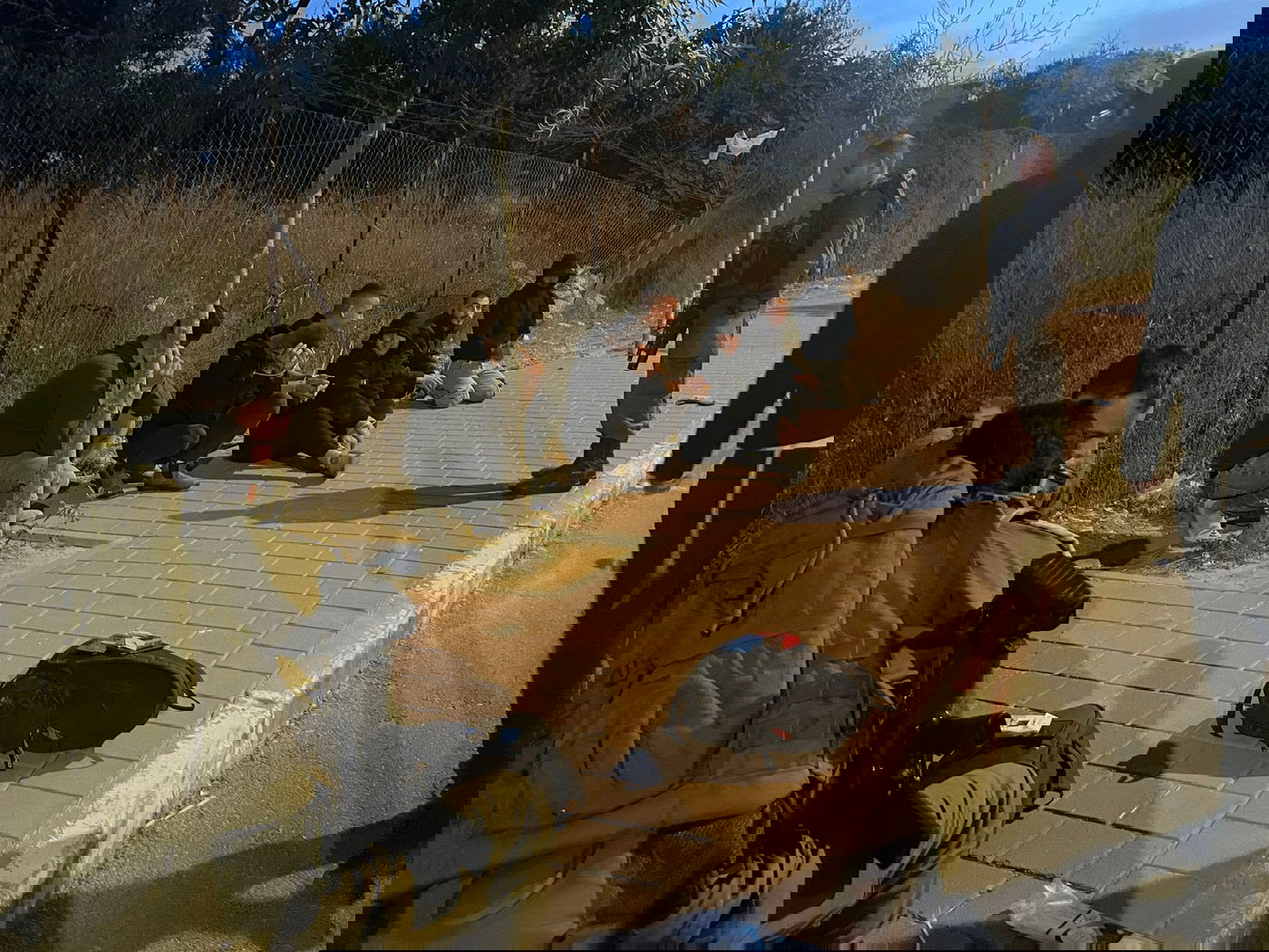 שישה מסתננים נתפסו בלב העיר מודיעין עילית | תיעוד