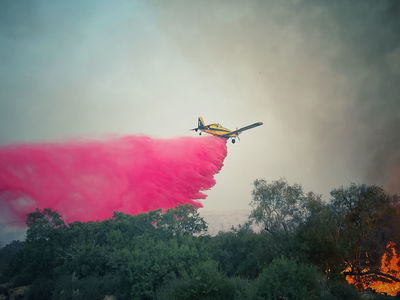 השריפה בערבה