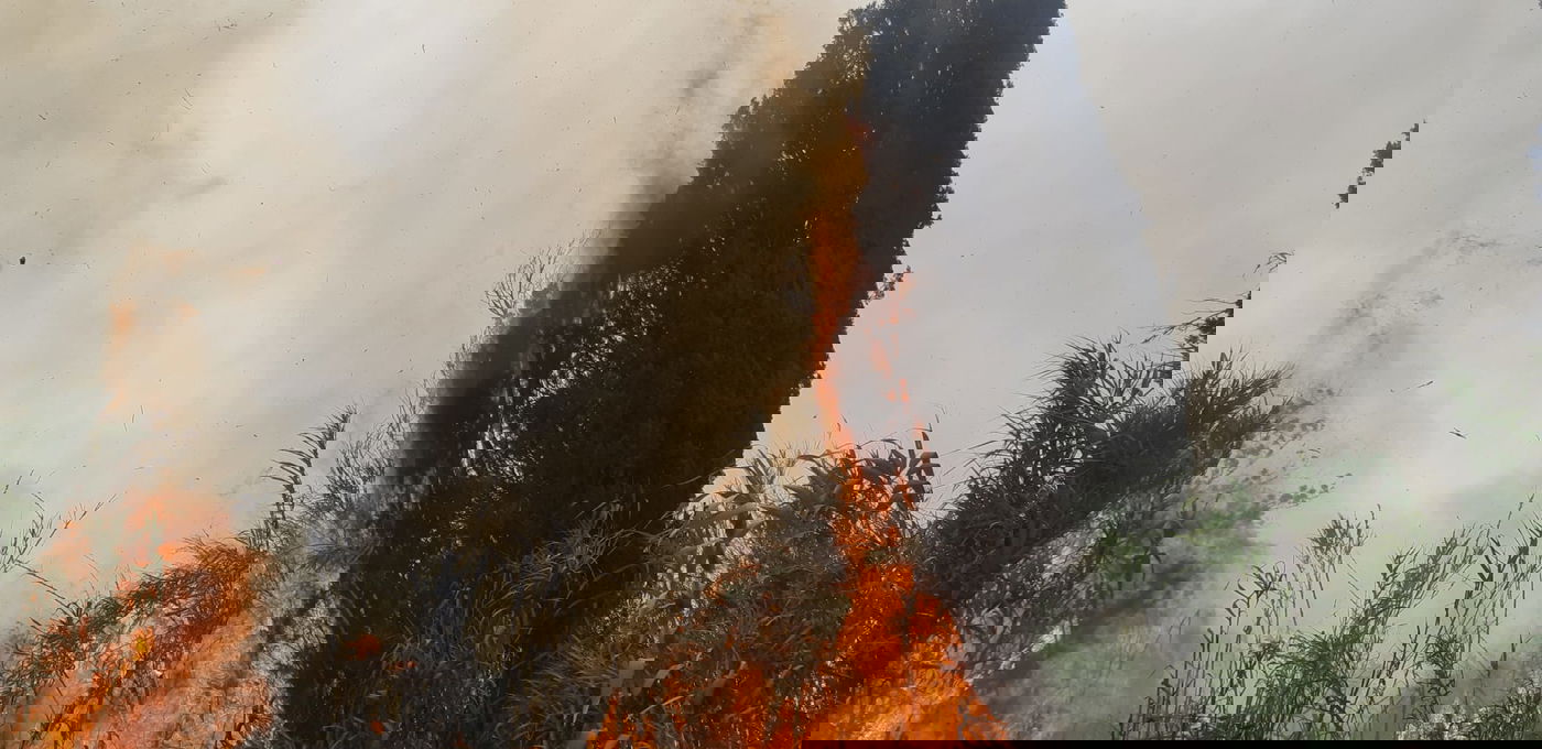 שריפת חורש. אילוסטרציה