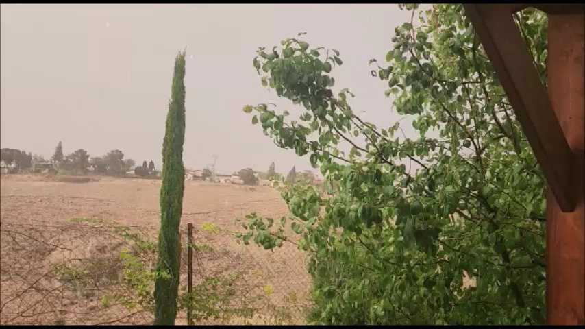 הגשם השוטף, היום בערד