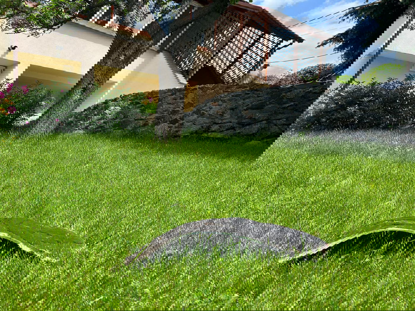 "חזרנו לבית אחרי החג מבית הכנסת ומצאנו רסיסי טיל בחצר"