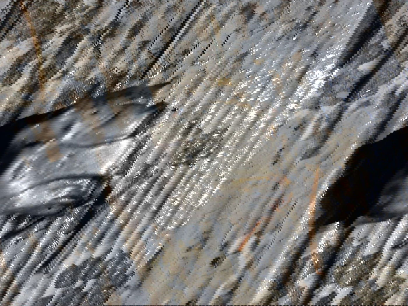 "חזרנו לבית אחרי החג מבית הכנסת ומצאנו רסיסי טיל בחצר"